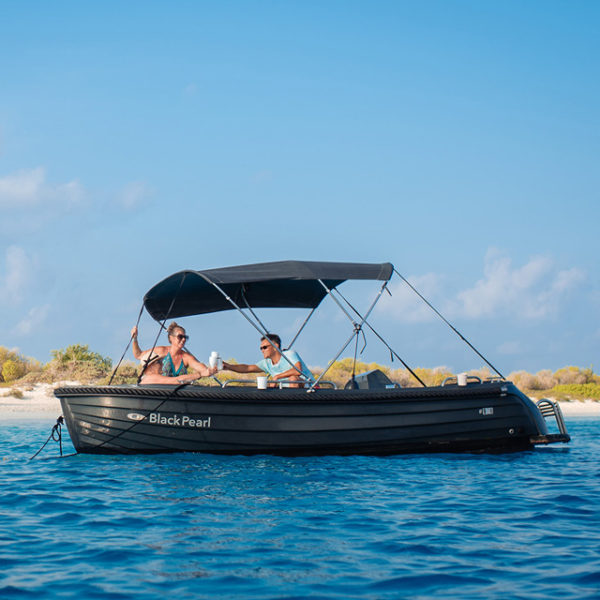 bonaire boar rental